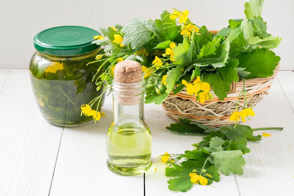 Infusion, oil and freshly picked celandine against toenail fungus