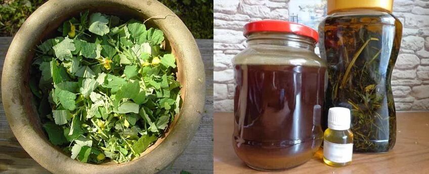 Preparation of healing celandine juice for further use in the fight against toenail fungus